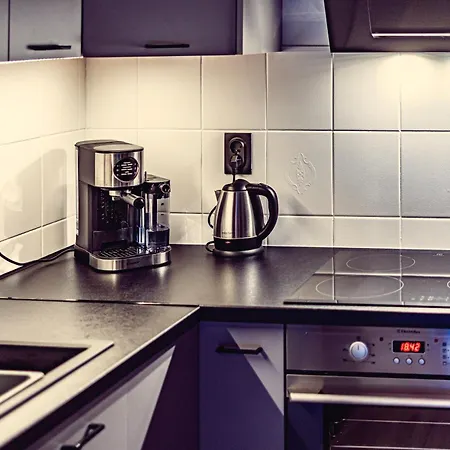 Elegance Loft Апартаменты Скочув