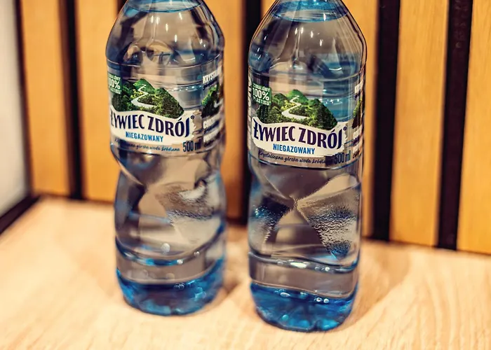 Apartmán Elegance Loft Skoczów